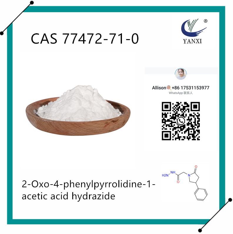 2-(2-oxo-4-phénylpyrrolidin-1-yl)acétohydrazide 77472-71-0