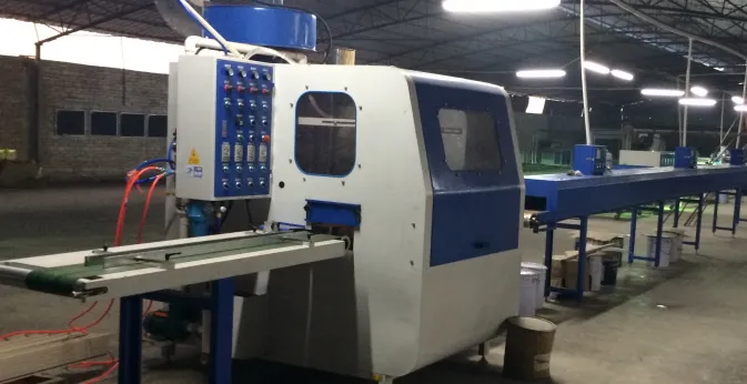 CNC automatic painting machine