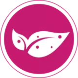 การเก็บรักษาฟีด