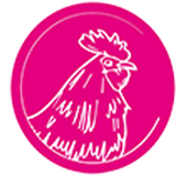 Птица Птица