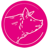 Свинья Свинья