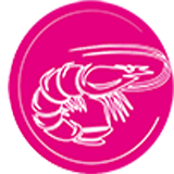 Аквакультура Аквакультура