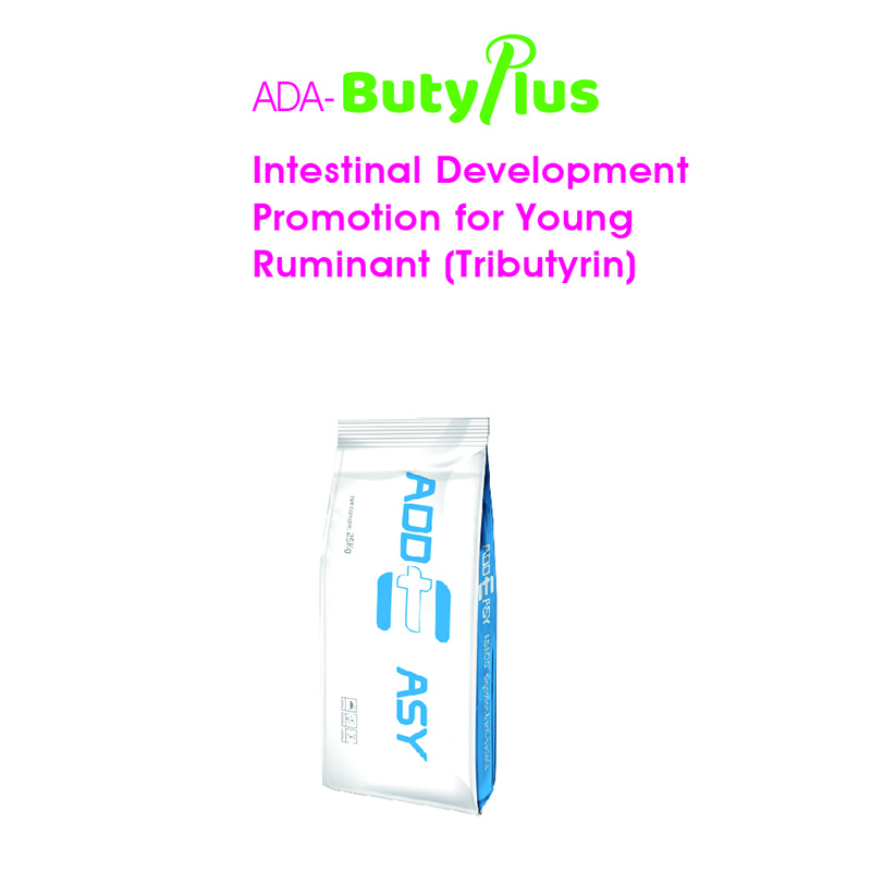 ADA- ButyPlus