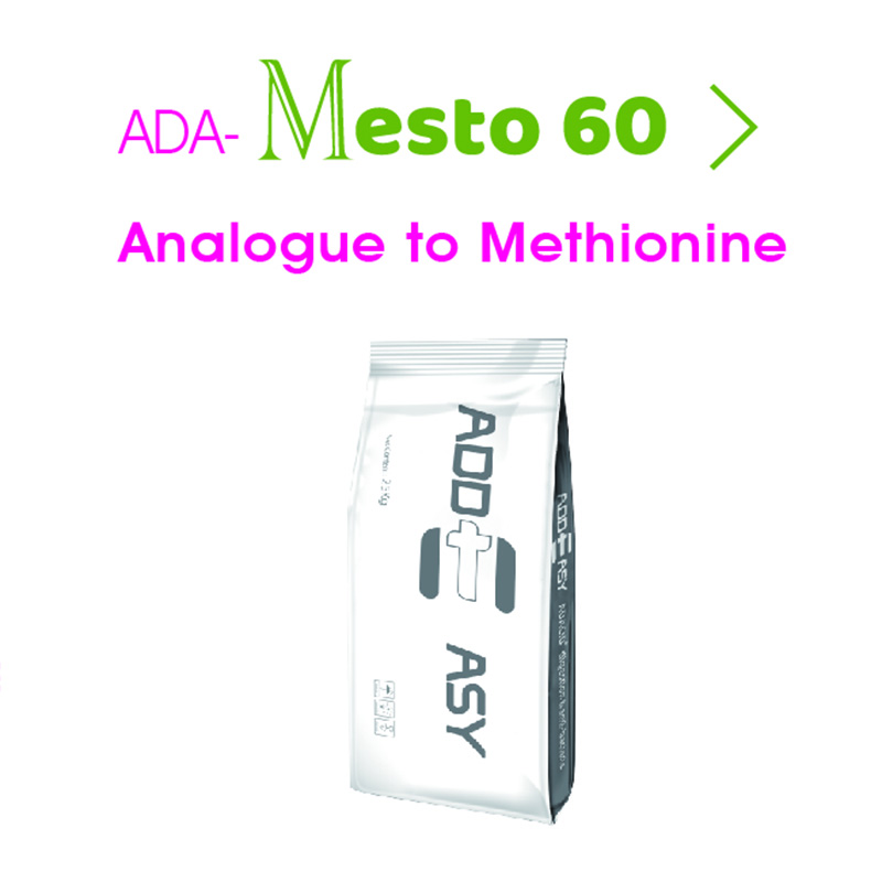 ADA -Mesto 60