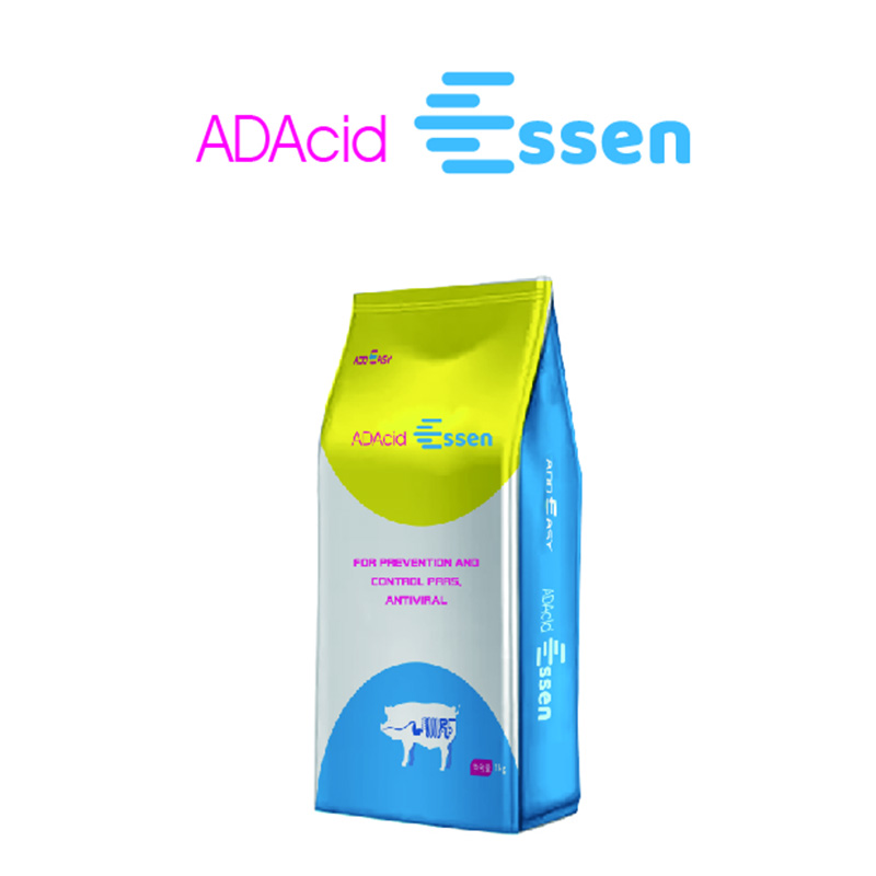 ADAcid Essen