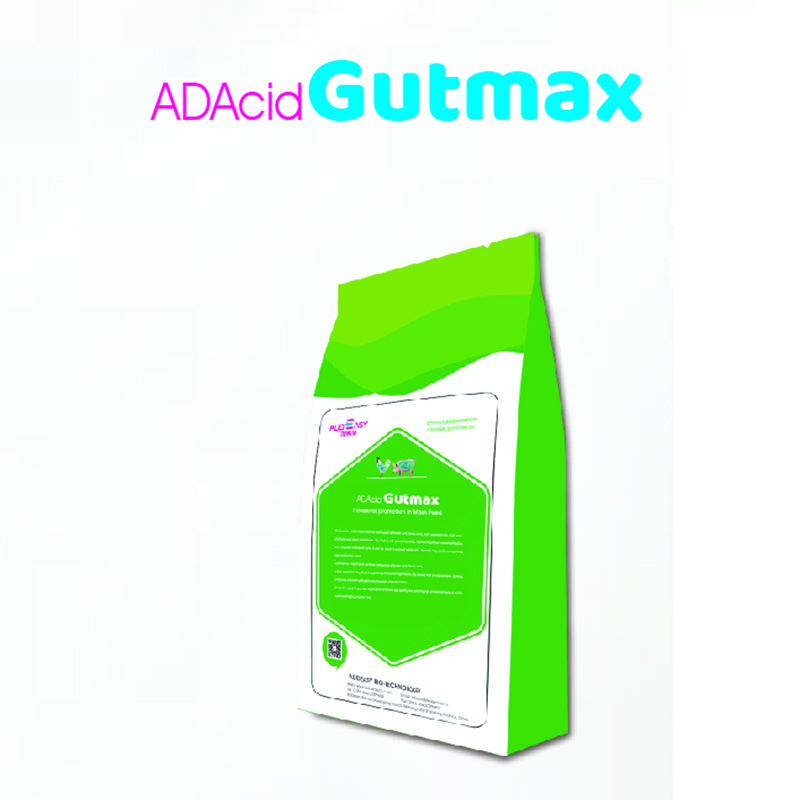 ADAcid Gutmax