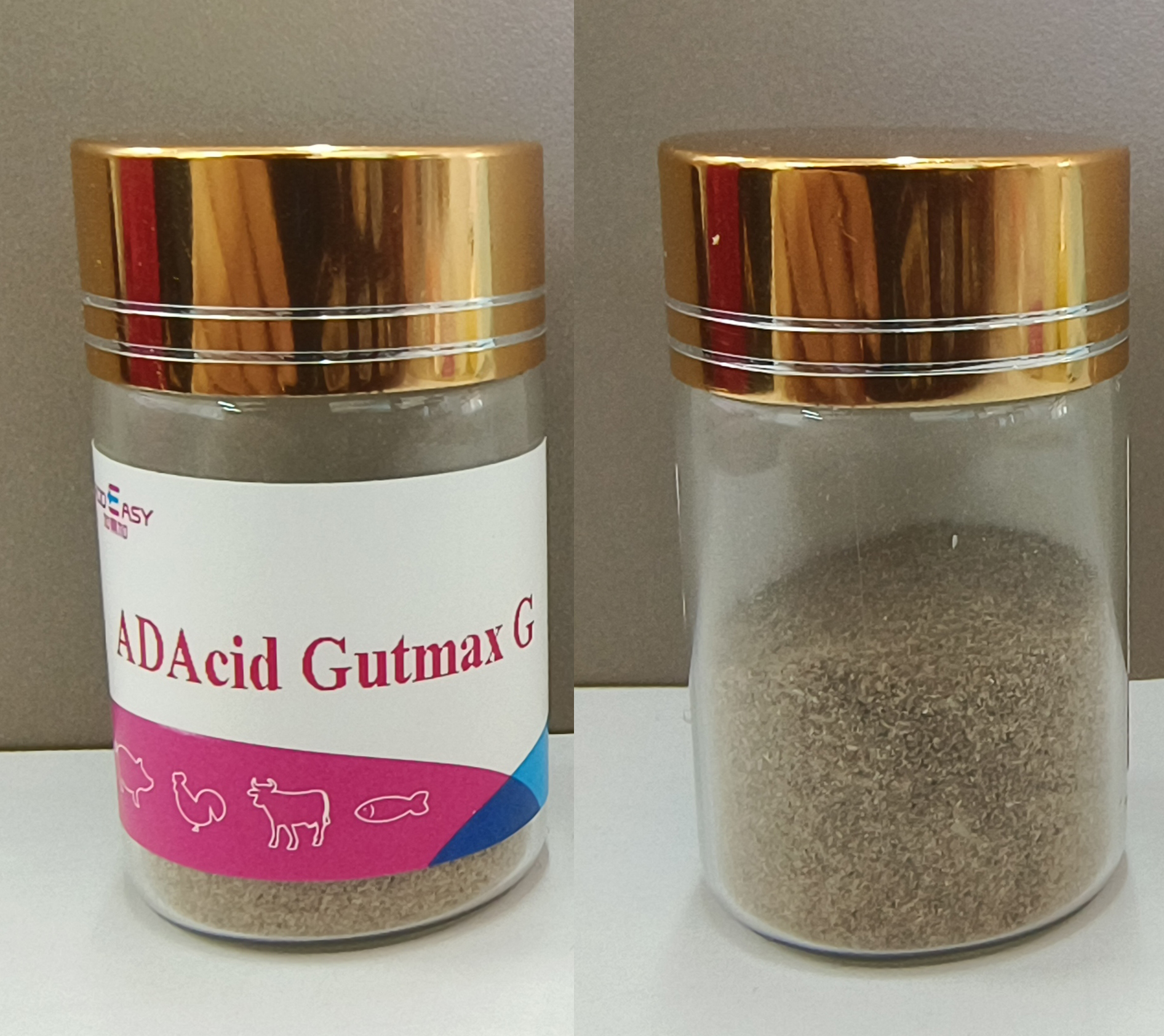 ADAcid Gutmax