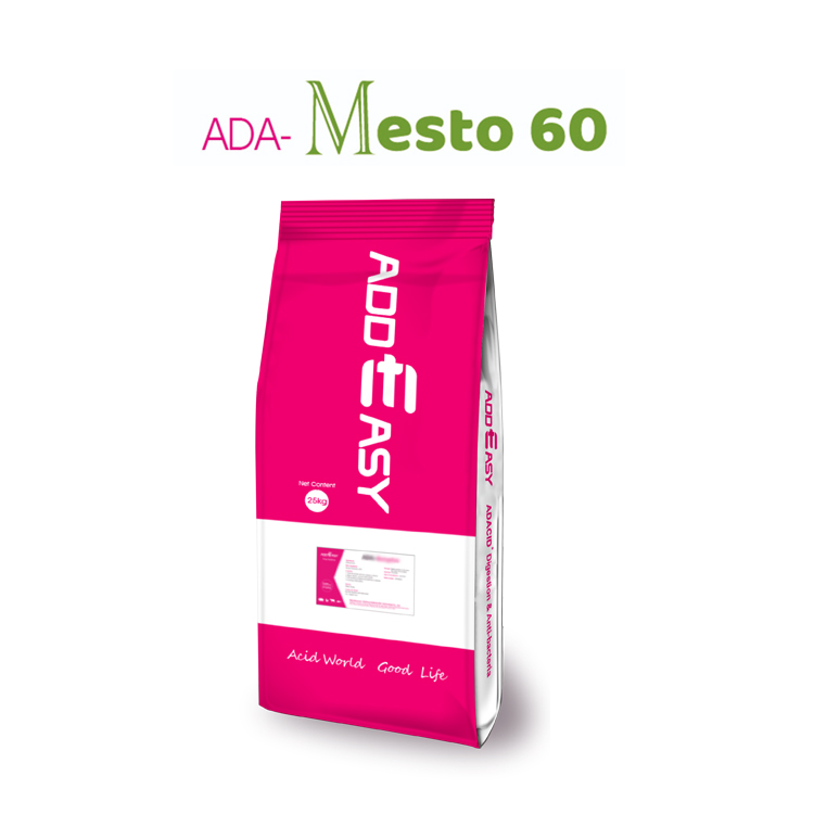 ADA-Mesto 60