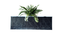 T MAX L--C Nytt design