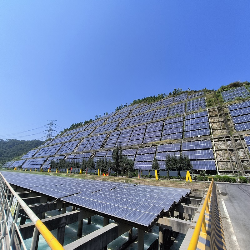 In which countries can I receive government subsidies to purchase solar panels?