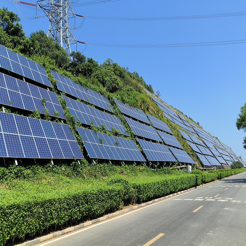 How to protect solar panels from birds? How to protect solar panels from birds?