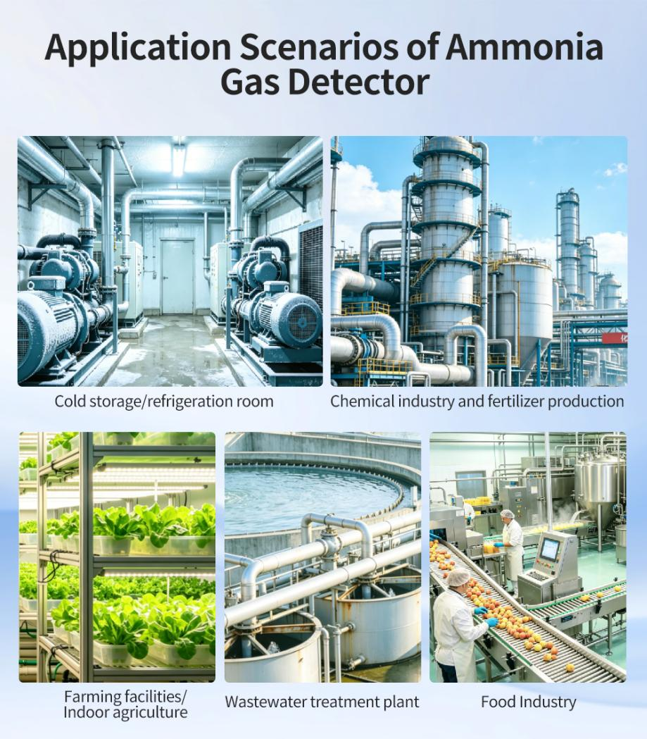 Wastewater Treatment Plant NH3 Gas Detector Fixed Ammonia Monitor 4-20mA RS485 with Relay