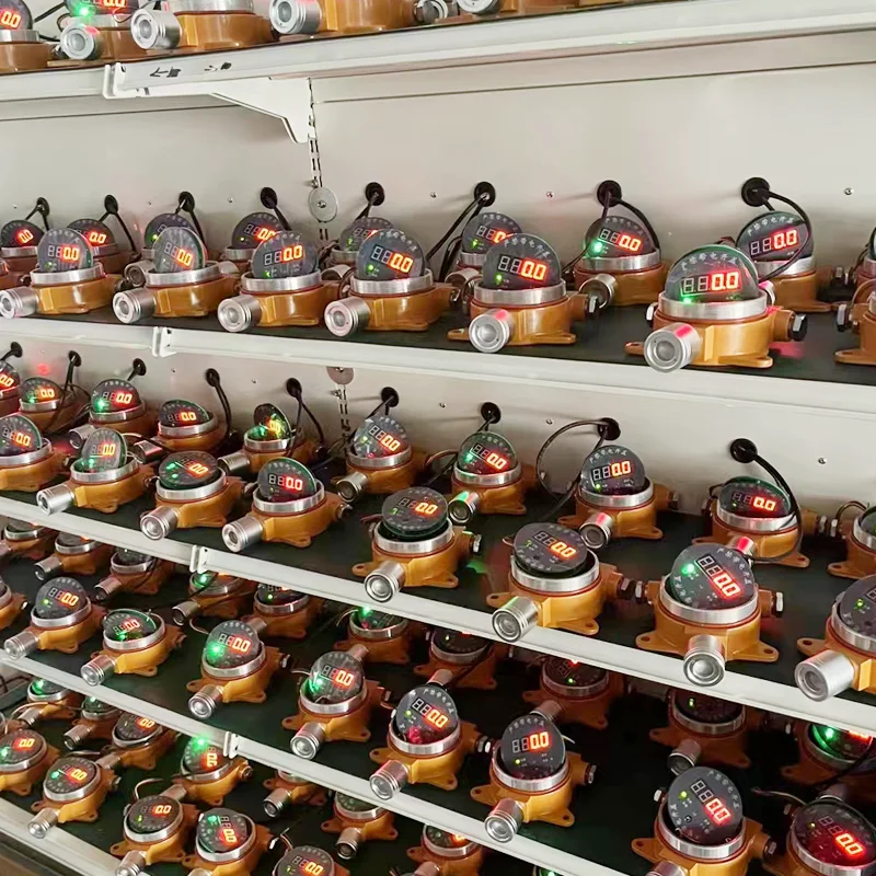 Fixed Explosion Proof Combustible Gas Detector for Gas Cylinder Storage Warehouse Industrial Safety