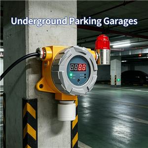 Fixed Carbon Monoxide CO Gas Detector 0-1000ppm for Chemical Plant