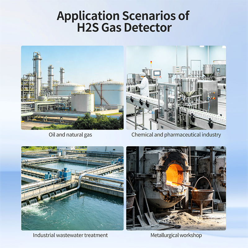 Industrial hydrogen sulfide monitor H2S gas detector with audible alarm for wastewater treatment