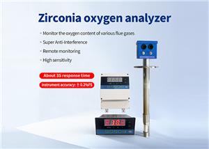 Zirconia oxygen analyzer - The "eyes" for combustion optimization.