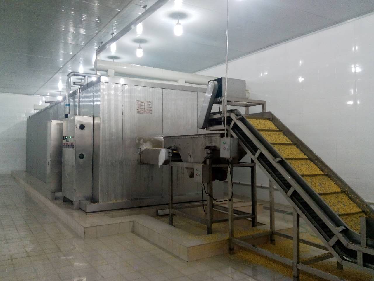 Corn kernel food freezing machine