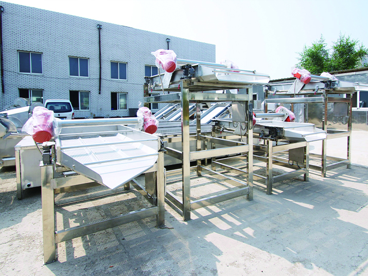 Vegetable processing vibrating cloth machine