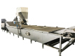 Pasteurizing blanching machine