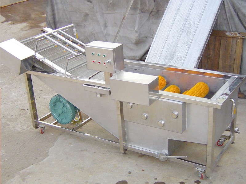 Blueberry wave washing equipment