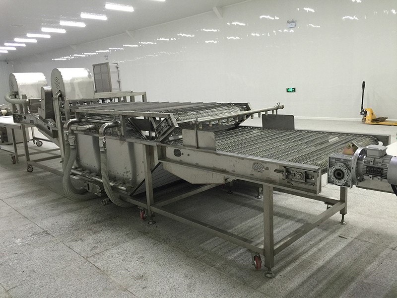 Yam Bean Cherry Tomatoes cleaning machine