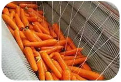 Carrot peeling and cleaning machine