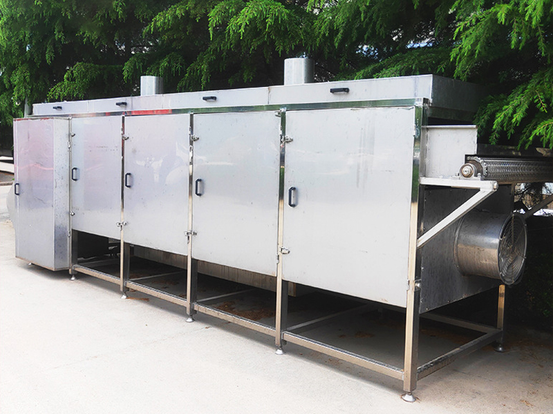 Automatic Fruit air drying machine