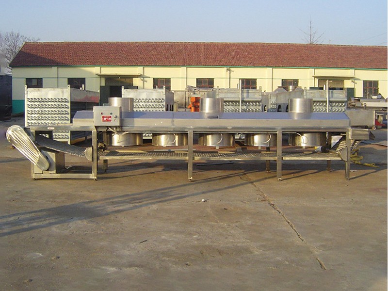 1000kg/h Vegetable air drying equipment