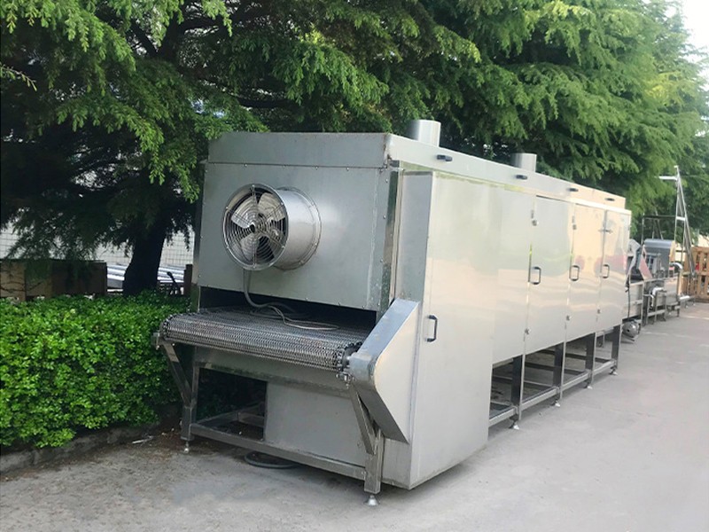 Automatic Fruit air drying machine