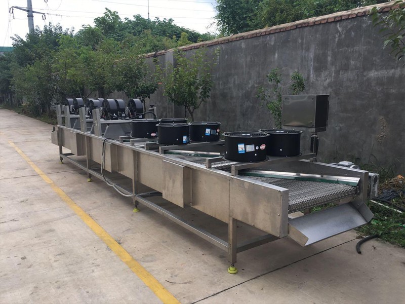 1000kg/h Vegetable air drying equipment