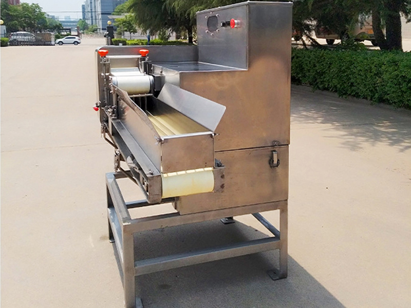 Automatic carrot and potato slicer