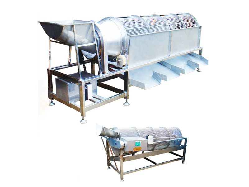 Rotary drum screening machine for kiwi fruit