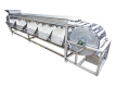 Fruit And Vegetable Grading Machine