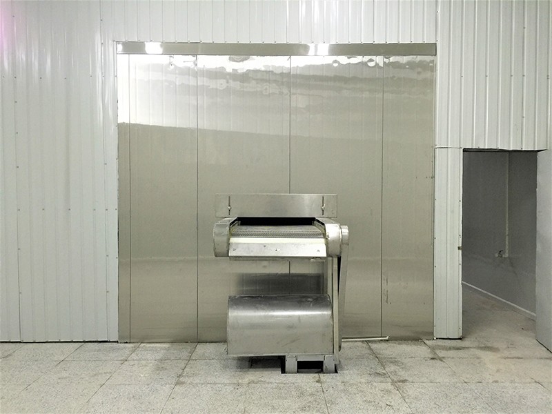 Vegetable and fruit freezing machine