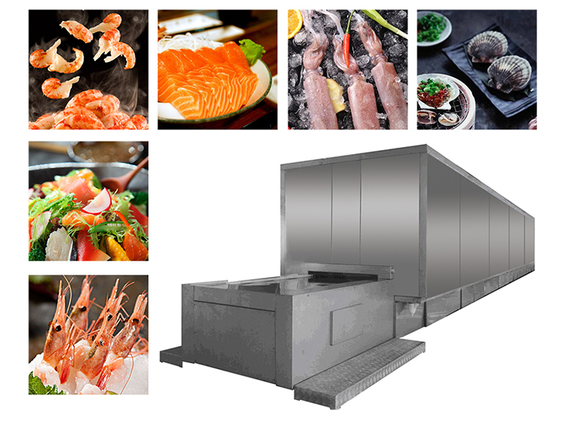 IQF Tunnel frozen fish poultry meat