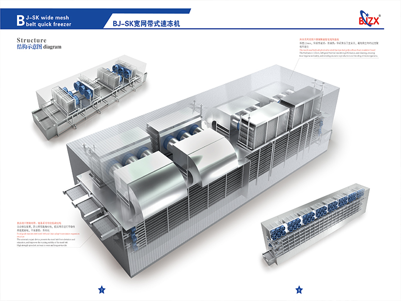 Squid ring freezing equipment IQF