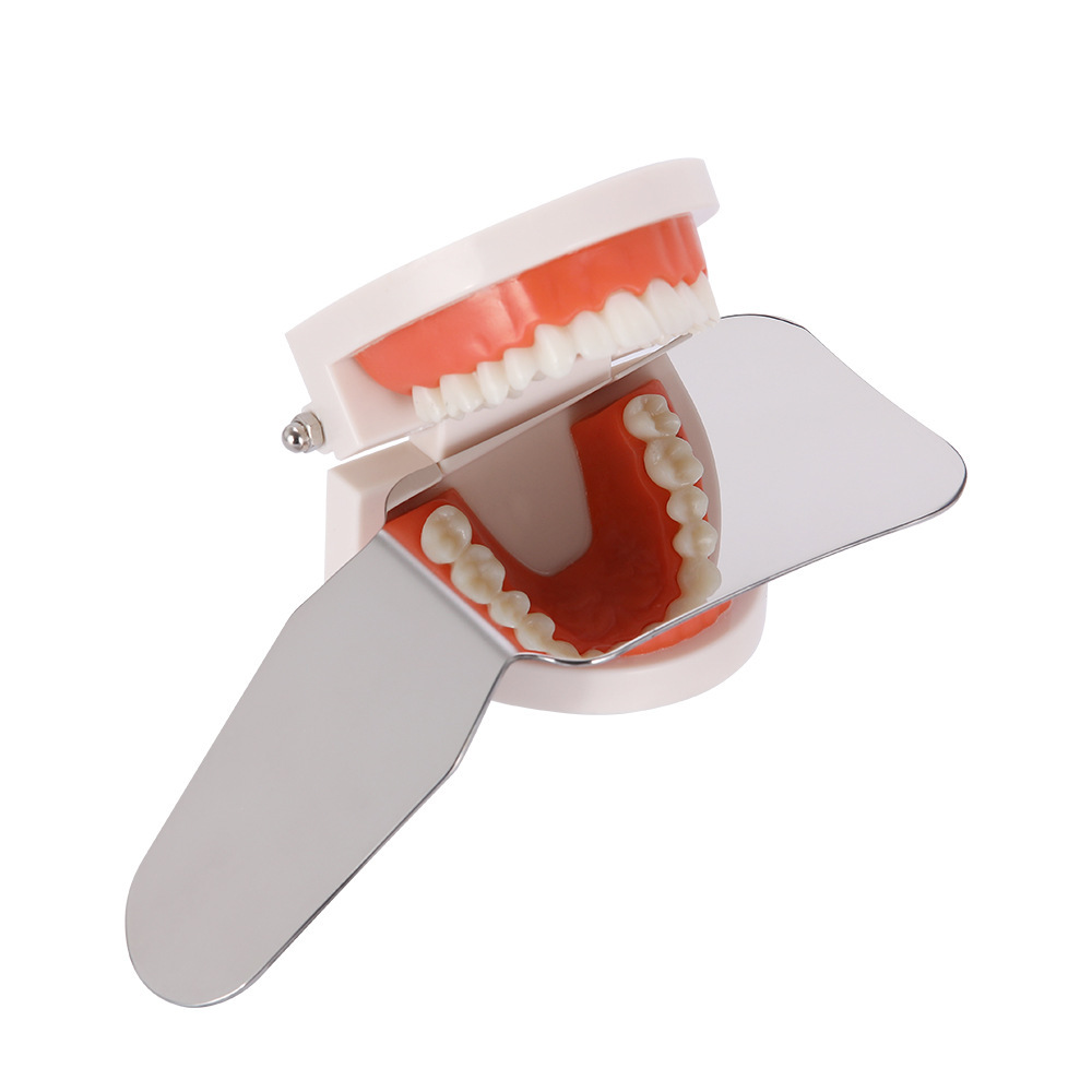 Dental Intraoral Photography Mirrors Dental Photography
