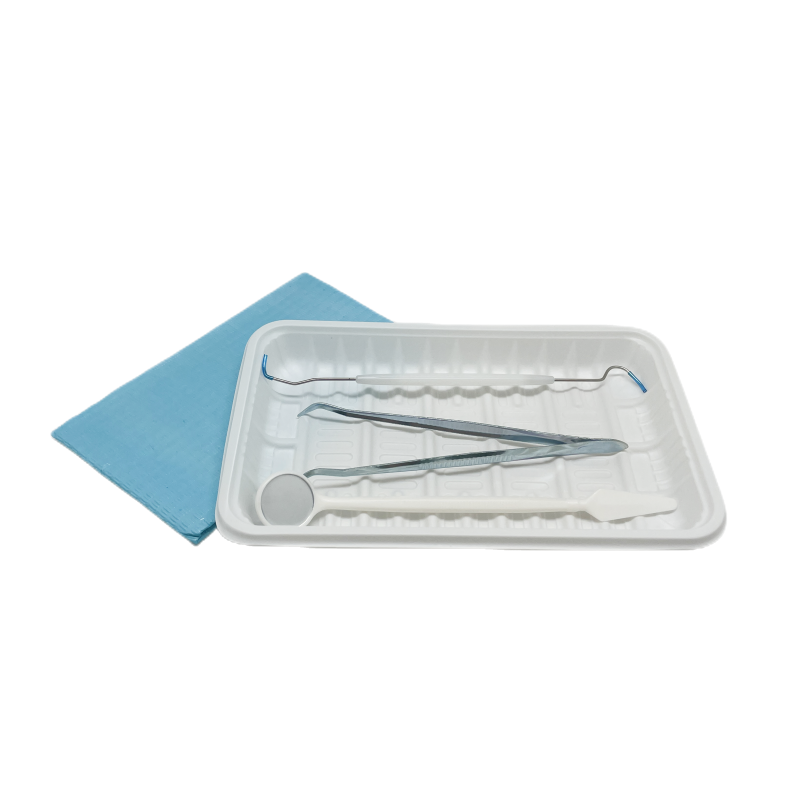 Disposable Examination Dental Instruments Kit For Surgery Kits