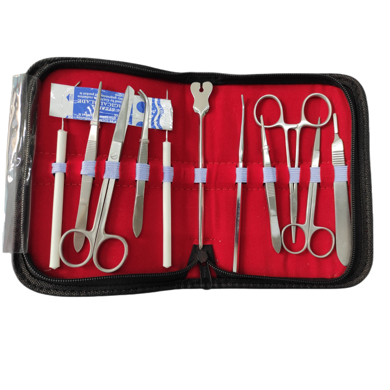 Dental Student Stainless Steel Suigical Kit Dental Instruments Set