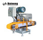 Automatic Continuous Multi Blades Cutting Machine