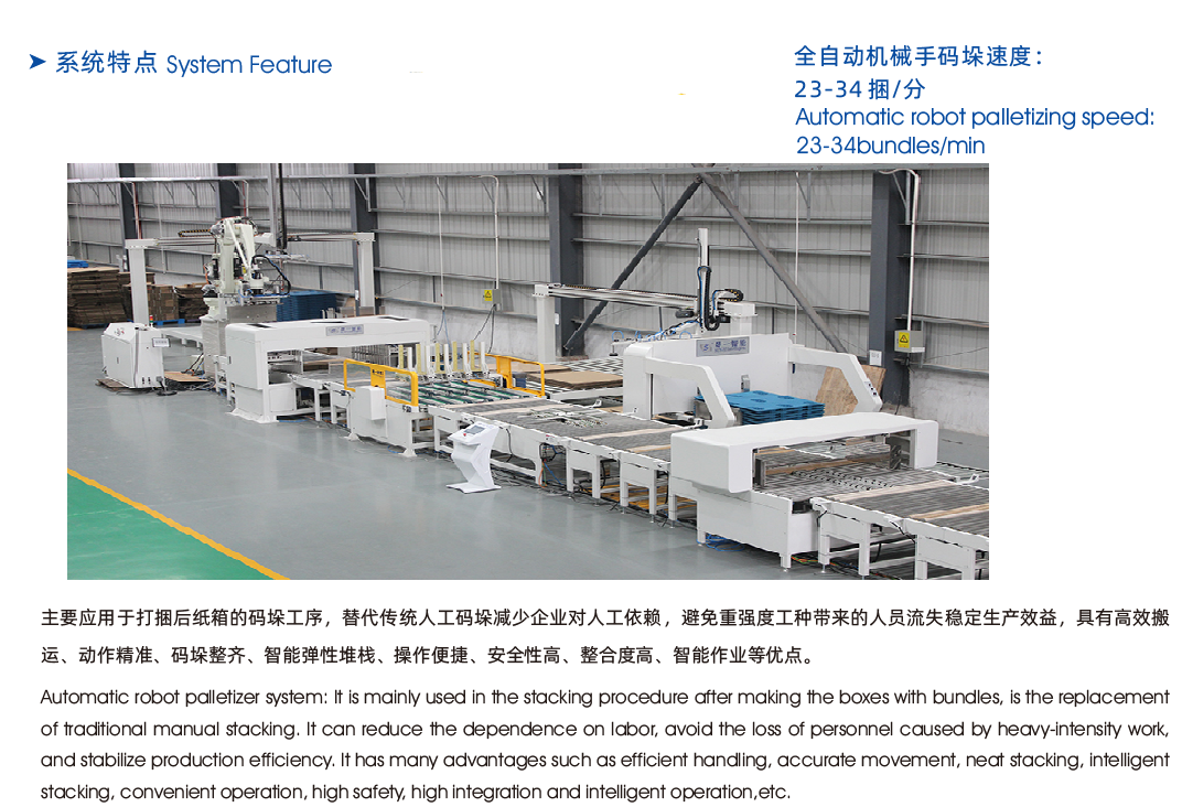 RDC robot palletizer
