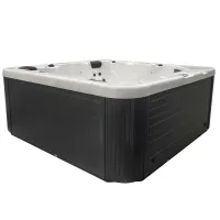 5 Person Acrylic Wifi Outdoor Spas And Hot Tubs
