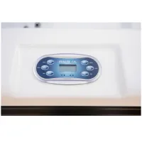 5 Person Acrylic Wifi Outdoor Spas And Hot Tubs