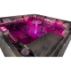 Luxury Balboa Spa Massage Bathtub 6 Person Spa Tub