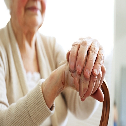 Walking Sticks: Ang Susi sa Mas Malusog, Mas Maligayang Pamumuhay