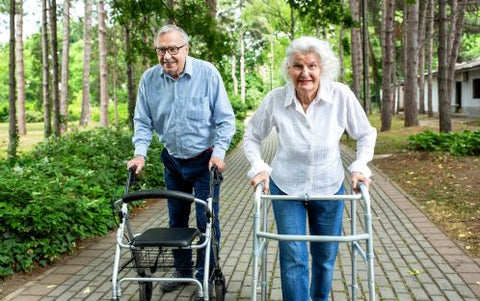 Walkers vs. Standard Walkers: Mga Pagkakaiba at Pagpipilian