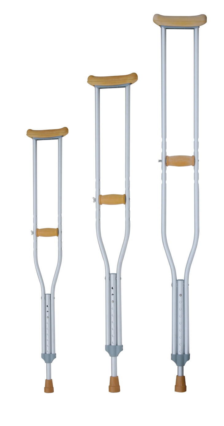 walking stick walking stick