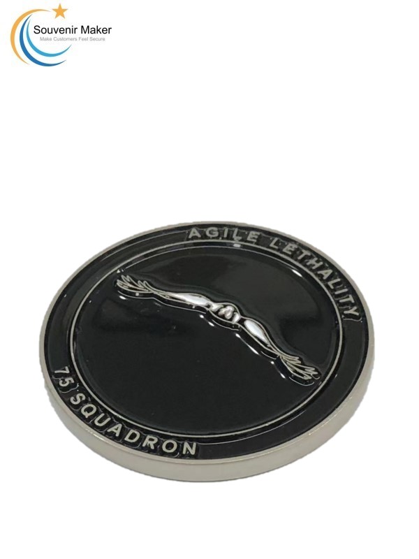 Custom Challenge Coin in Matte Silver Finish