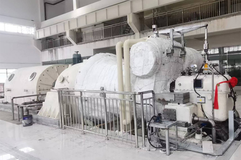 Green Power Empowers Overseas Isolated Grids | Biomass Steam Turbine Generator Units Enable Energy Independence for Remote Regions