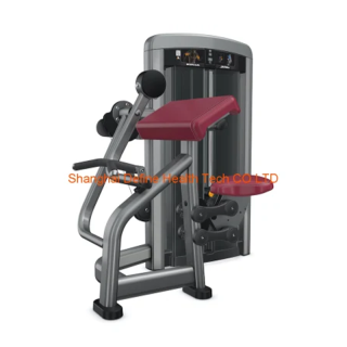 equipo de gimnasio, fitness comercial, artículos deportivos, máquina de bíceps, Curl de bíceps DF-9022